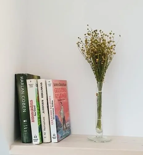 Apartment Apartamentai Gastroles